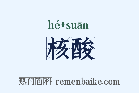 核酸是什么意思的图片
